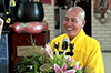 Mắt Thiền Nhìn Xuân